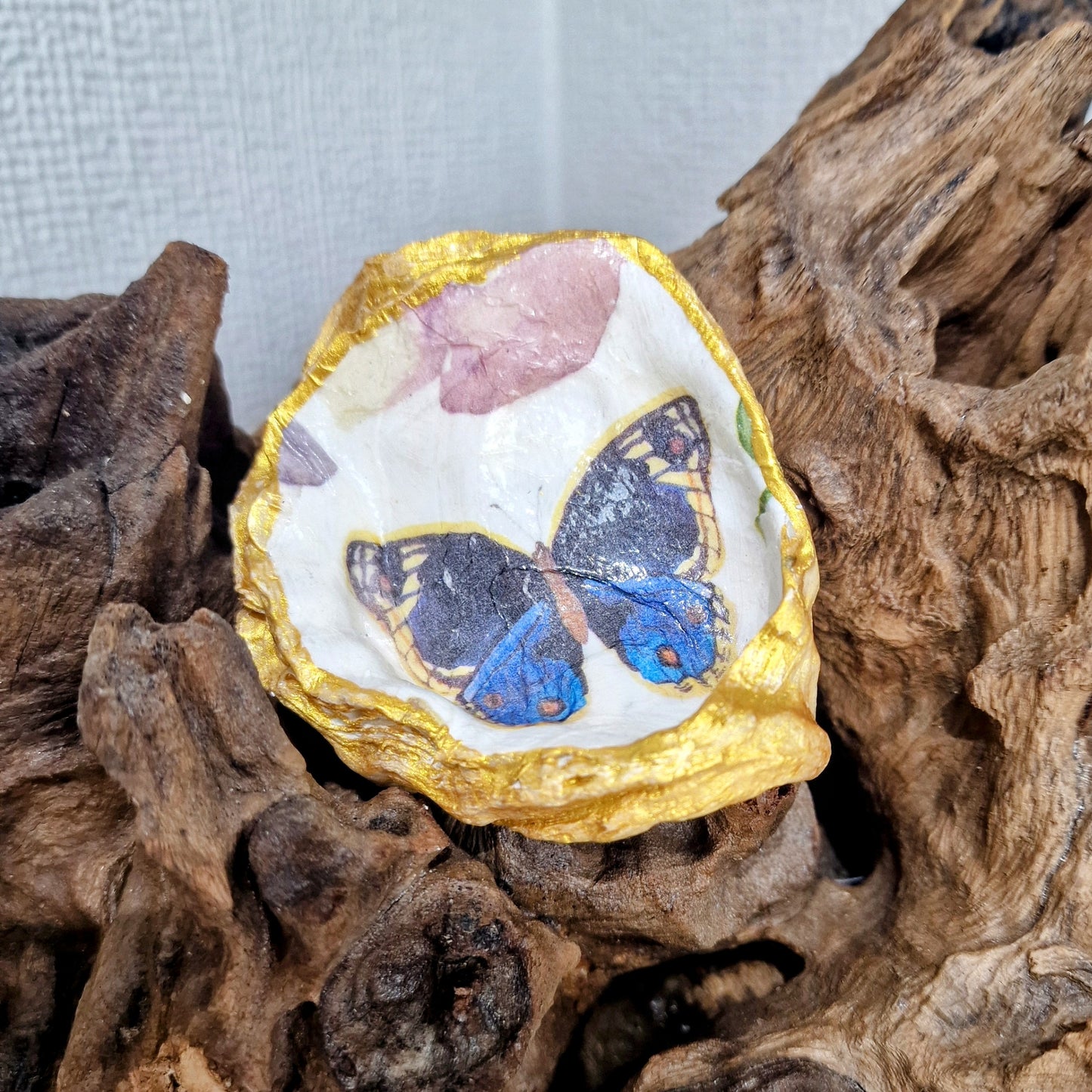 Blue Butterfly Oyster Shell Trinket Dish