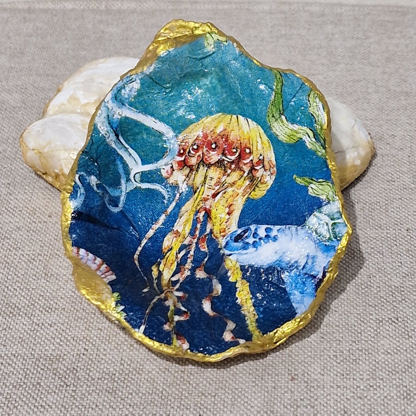 NEW Jellyfish Turtle Oyster Shell Trinket Dish Jewellery Holder Gift