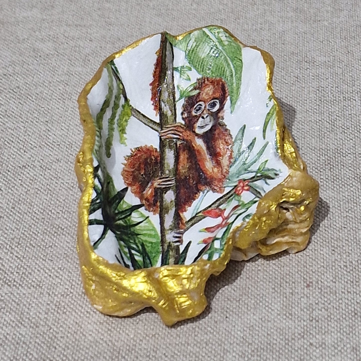 NEW Orangutan Baby Monkey Oyster Shell Trinket Dish Jewellery Holder GIft