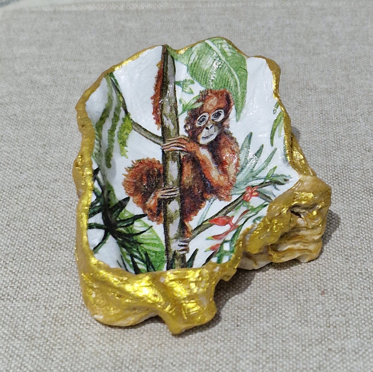 NEW Orangutan Baby Monkey Oyster Shell Trinket Dish Jewellery Holder GIft