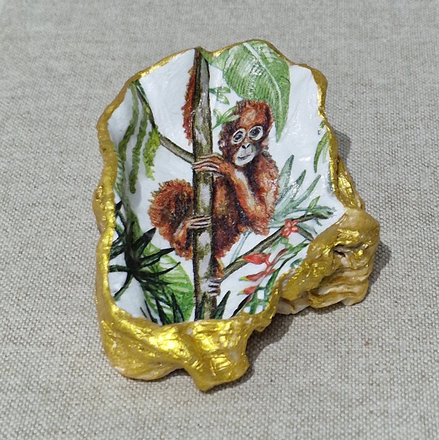 NEW Orangutan Baby Monkey Oyster Shell Trinket Dish Jewellery Holder GIft