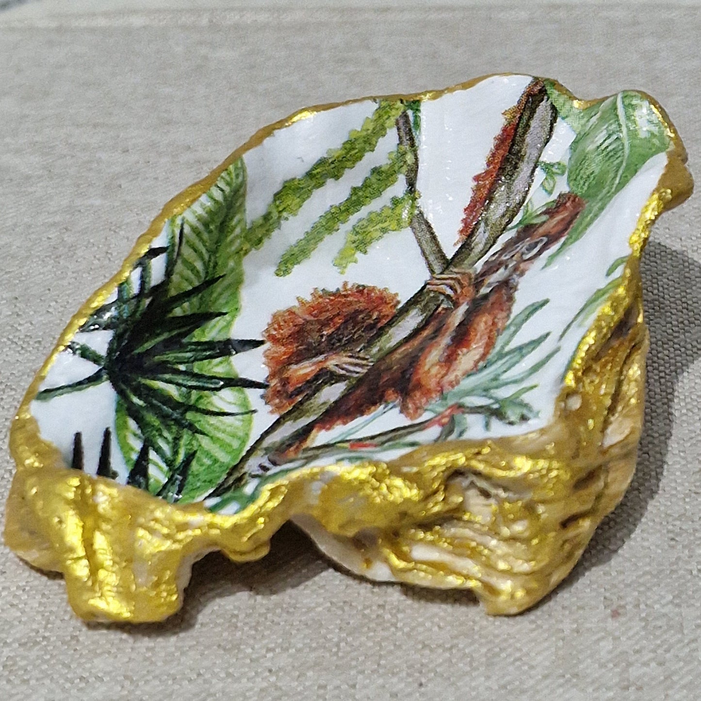 NEW Orangutan Baby Monkey Oyster Shell Trinket Dish Jewellery Holder GIft