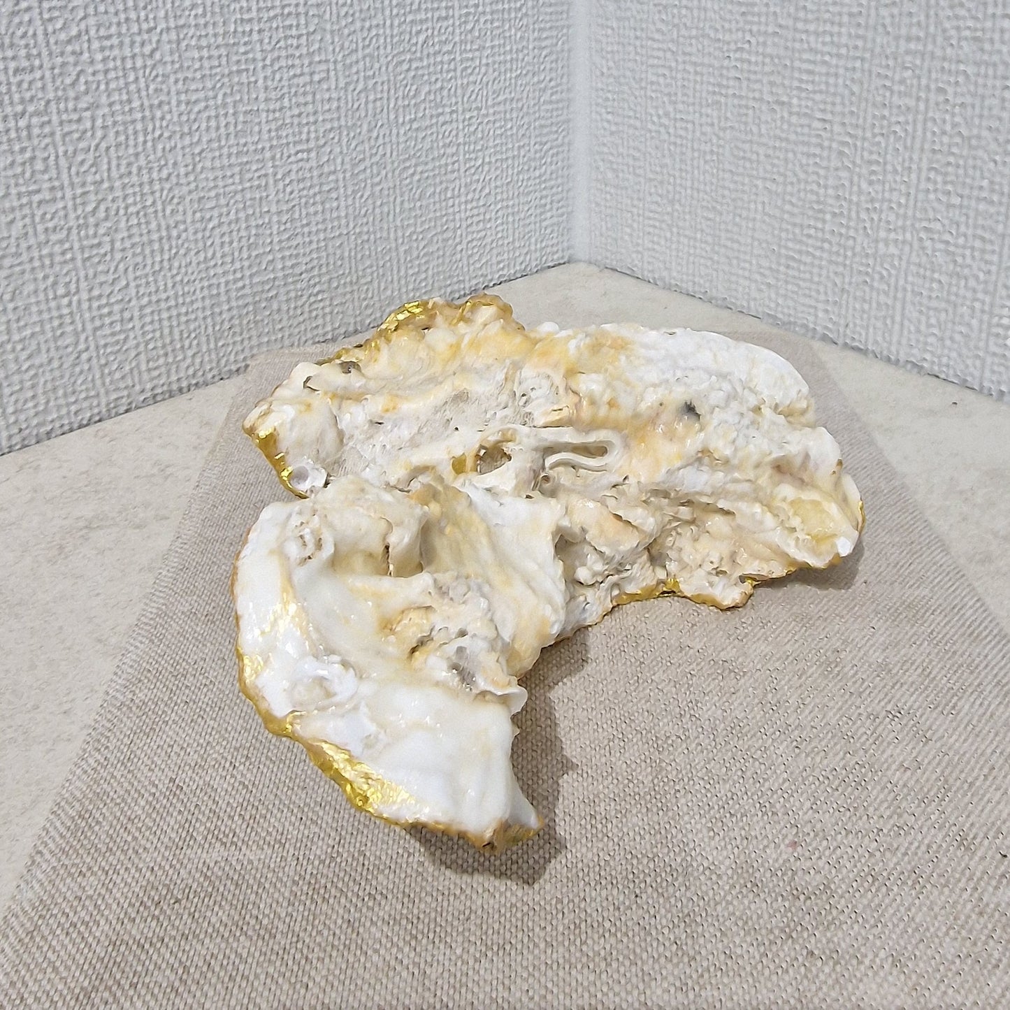 Special Shell Hummingbird Bird Cluster Oyster Shell Trinket Dish