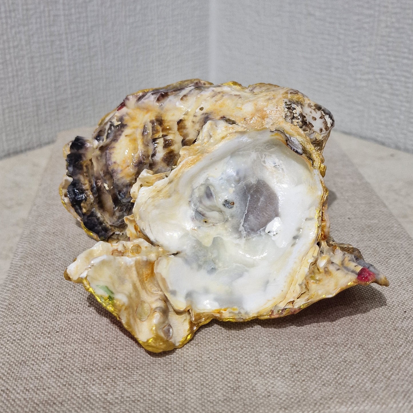 Special Shell Bird and Wild Flowers Cluster Oyster Shell Trinket Dish