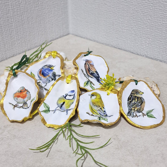 Garden Birds Oyster Shell Hanging Ornaments Decorations Gift Easter Tree - Set of 6