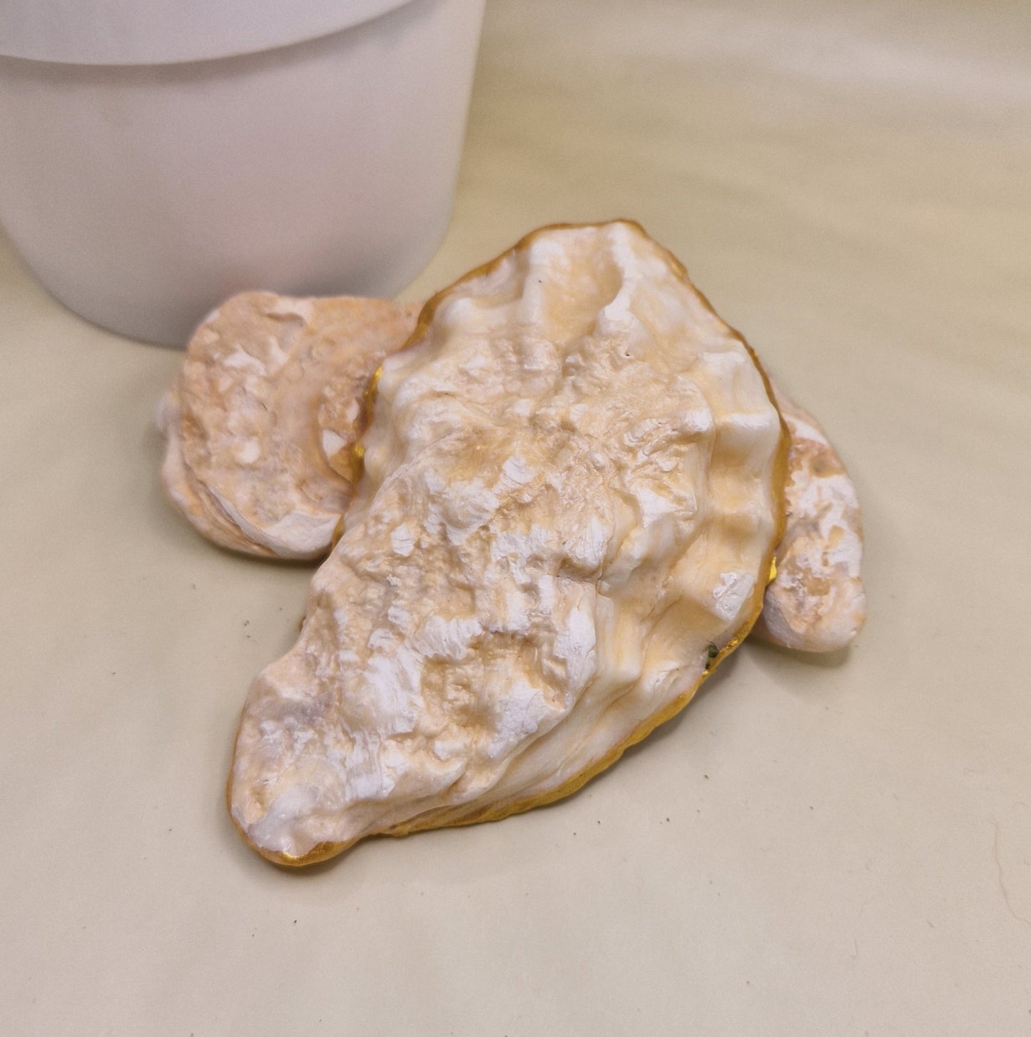 BMO-018 Spring Flowers Small Oyster Shell Trinket Dish
