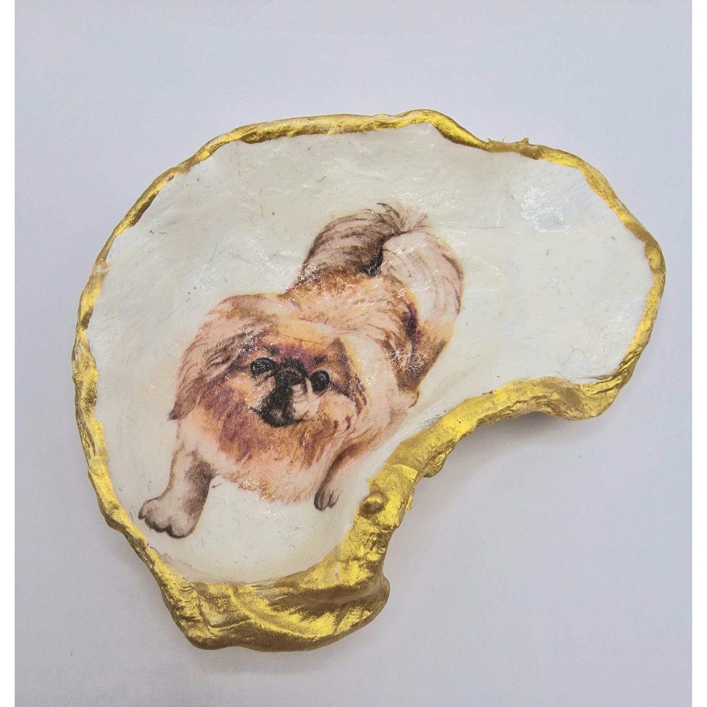 Pekingese Brown Dog Oyster Shell Trinket Dish