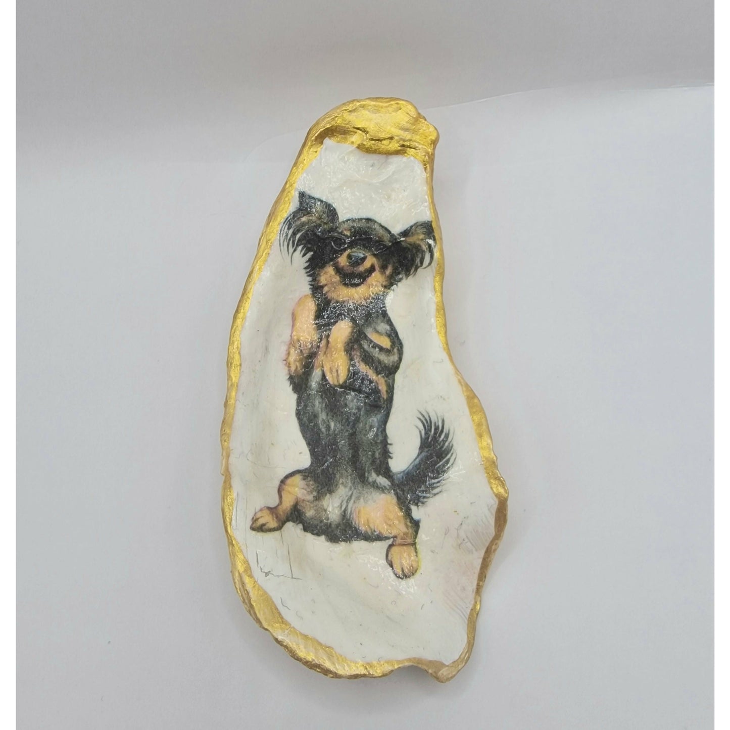 Long Haired Chihuahua Puppy Dog Small Oyster Shell Trinket Dish
