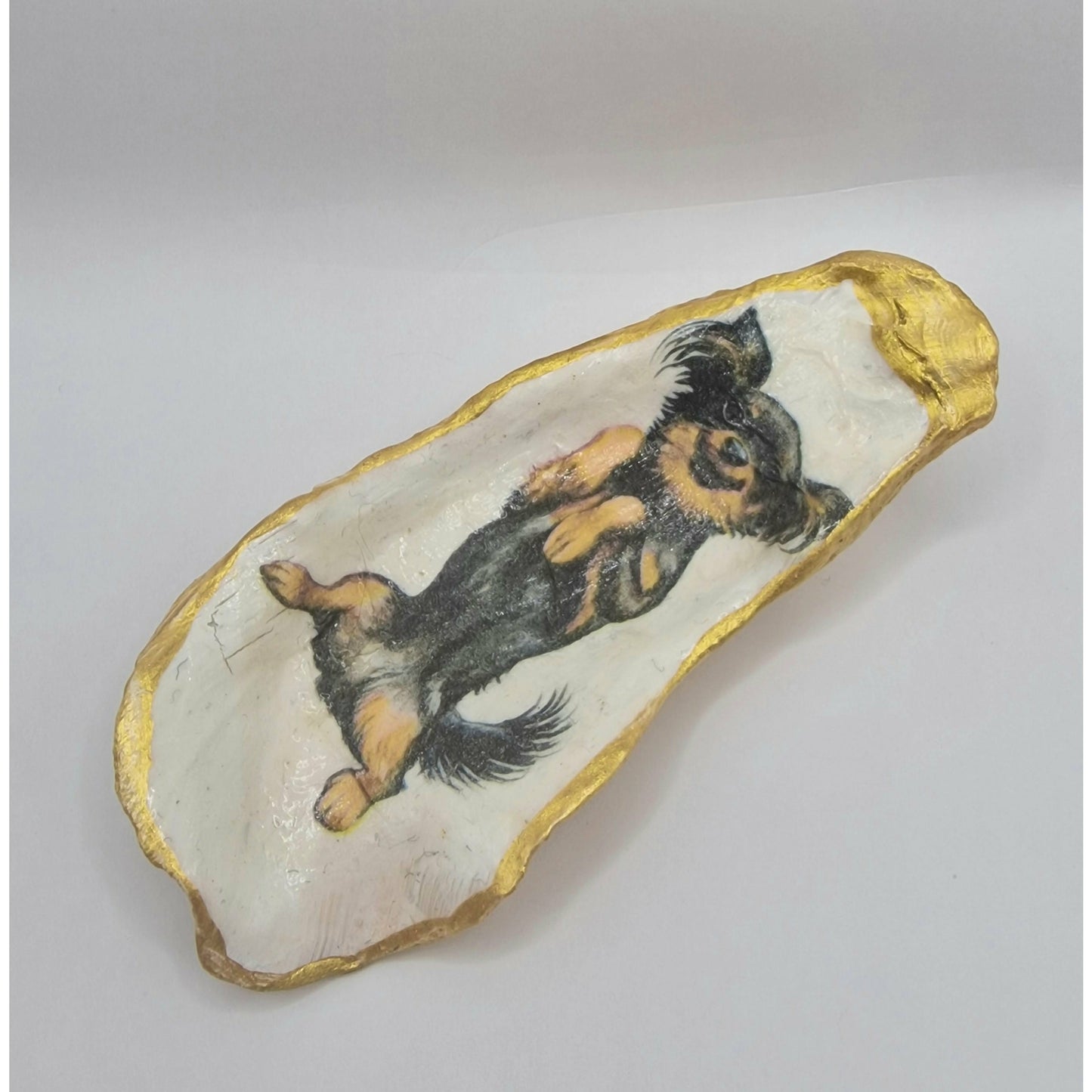 Long Haired Chihuahua Puppy Dog Small Oyster Shell Trinket Dish