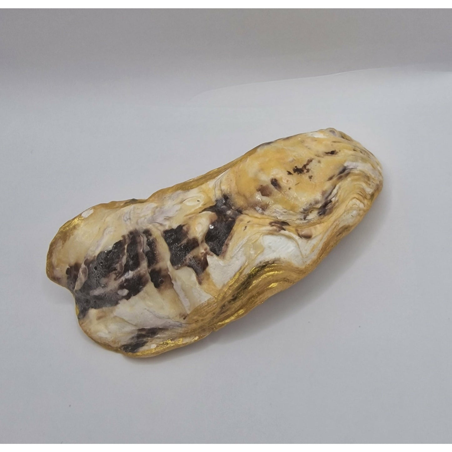 Long Haired Chihuahua Puppy Dog Small Oyster Shell Trinket Dish