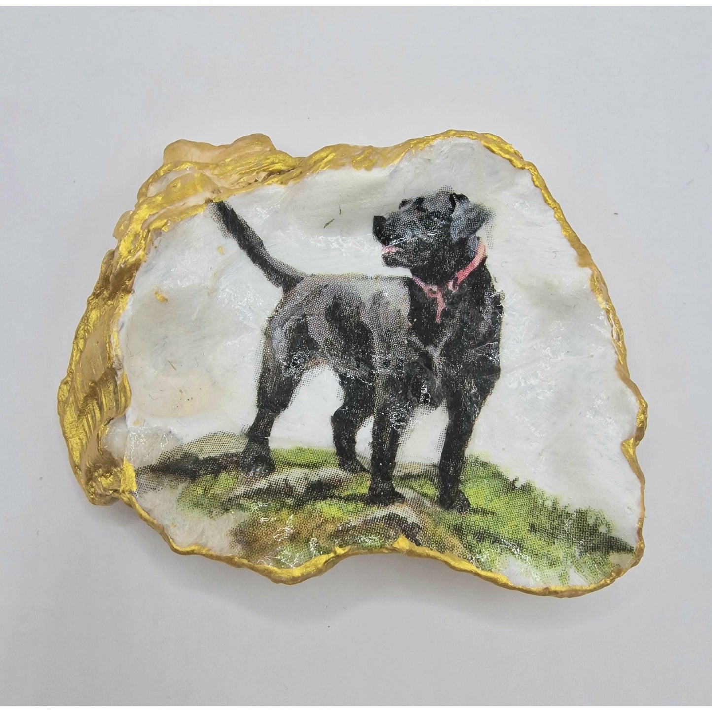 Labrador Dog Oyster Shell Trinket Dish