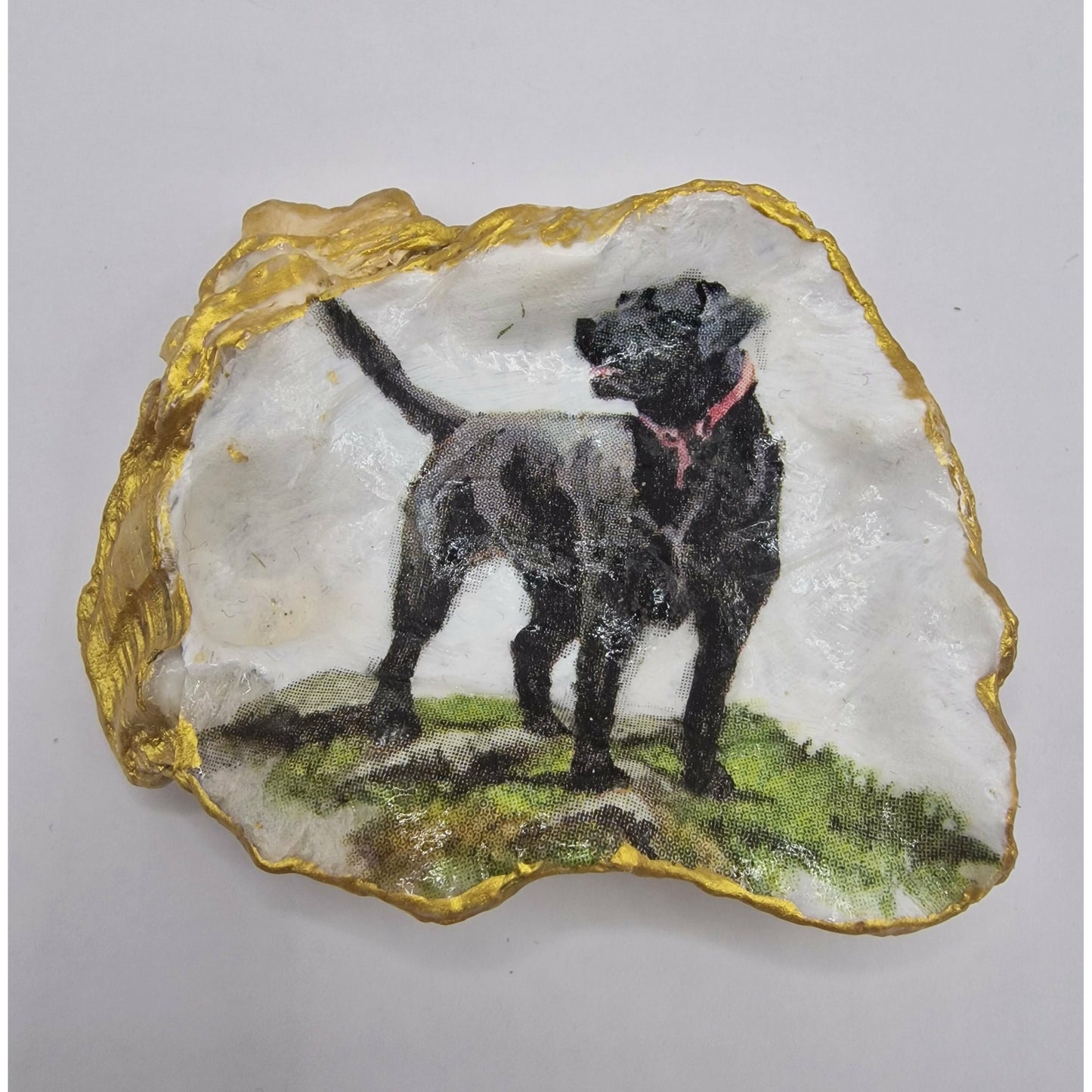 Labrador Dog Oyster Shell Trinket Dish
