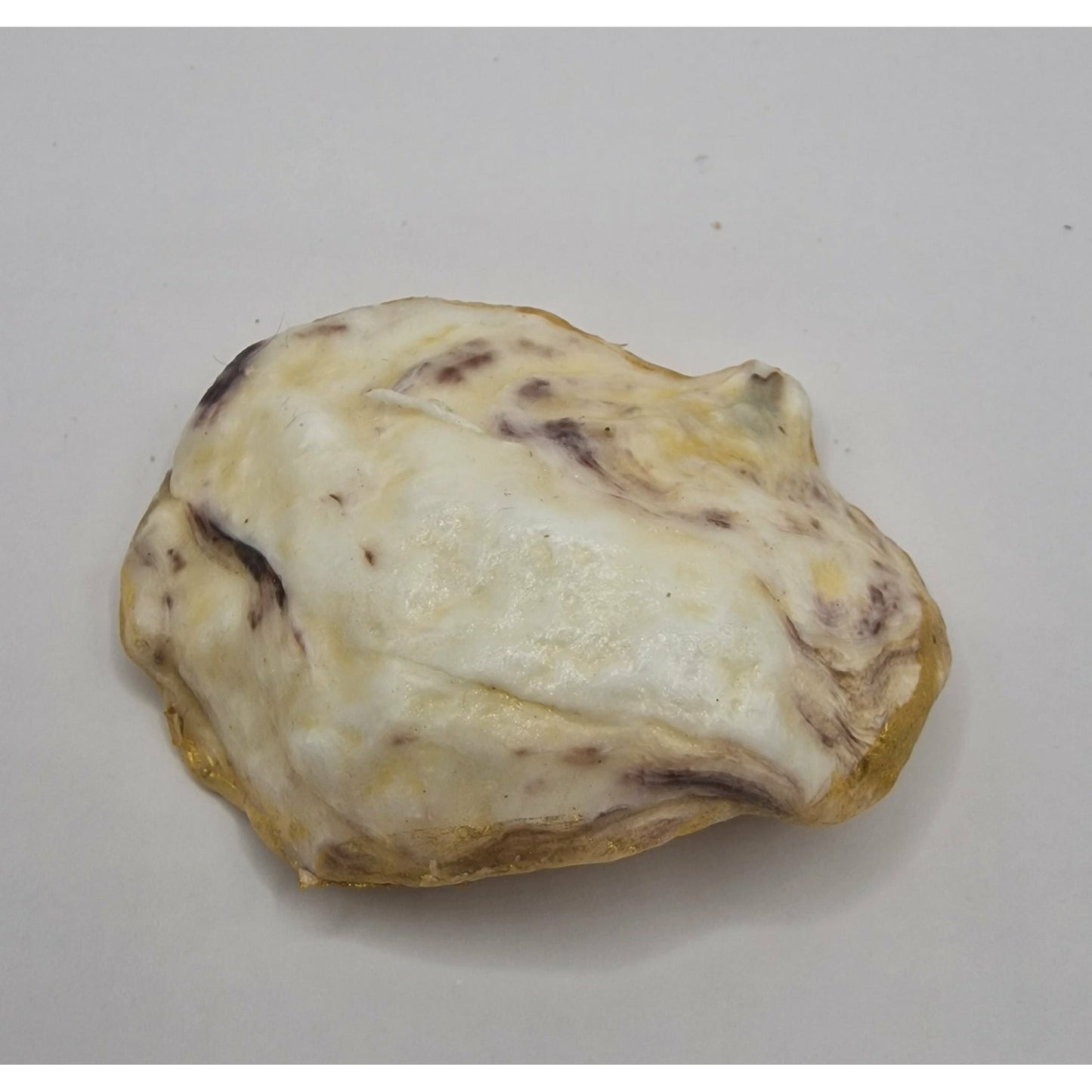 Boston Terrier Puppy Dog Small Oyster Shell Trinket Dish