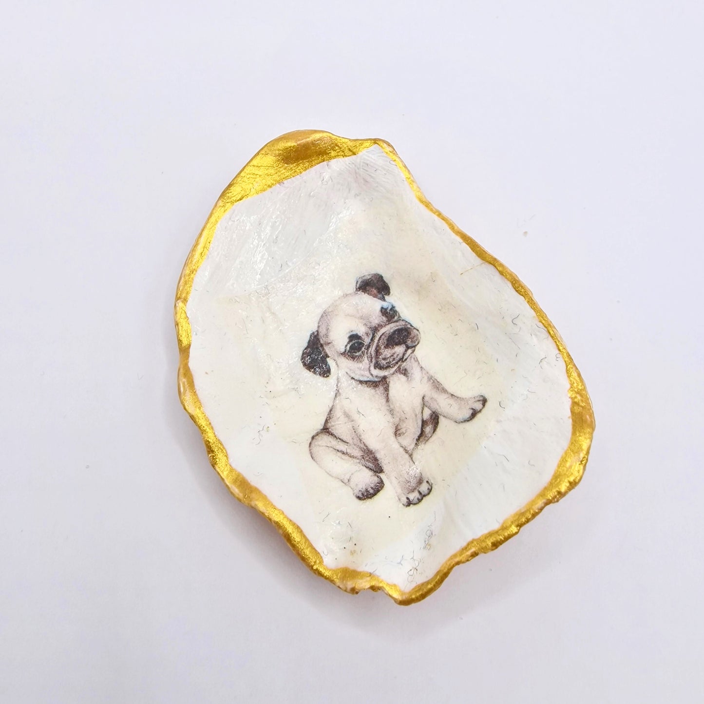 Boston Terrier Puppy Dog Small Oyster Shell Trinket Dish