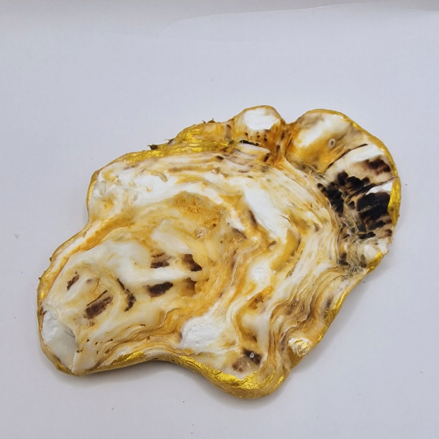 Alsatian Dog Oyster Shell Trinket Dish