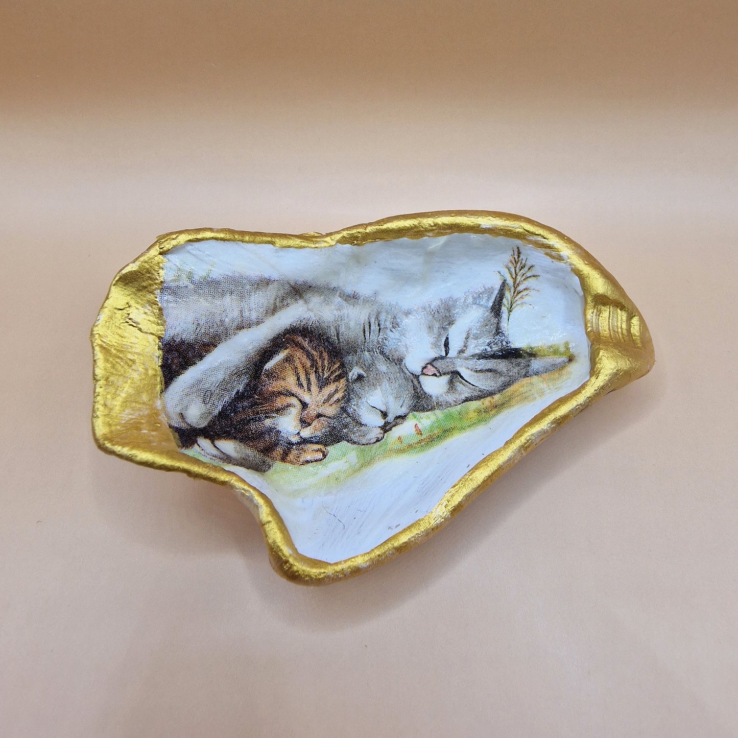 Sleeping Kittens Cats Oyster Shell Trinket Dish