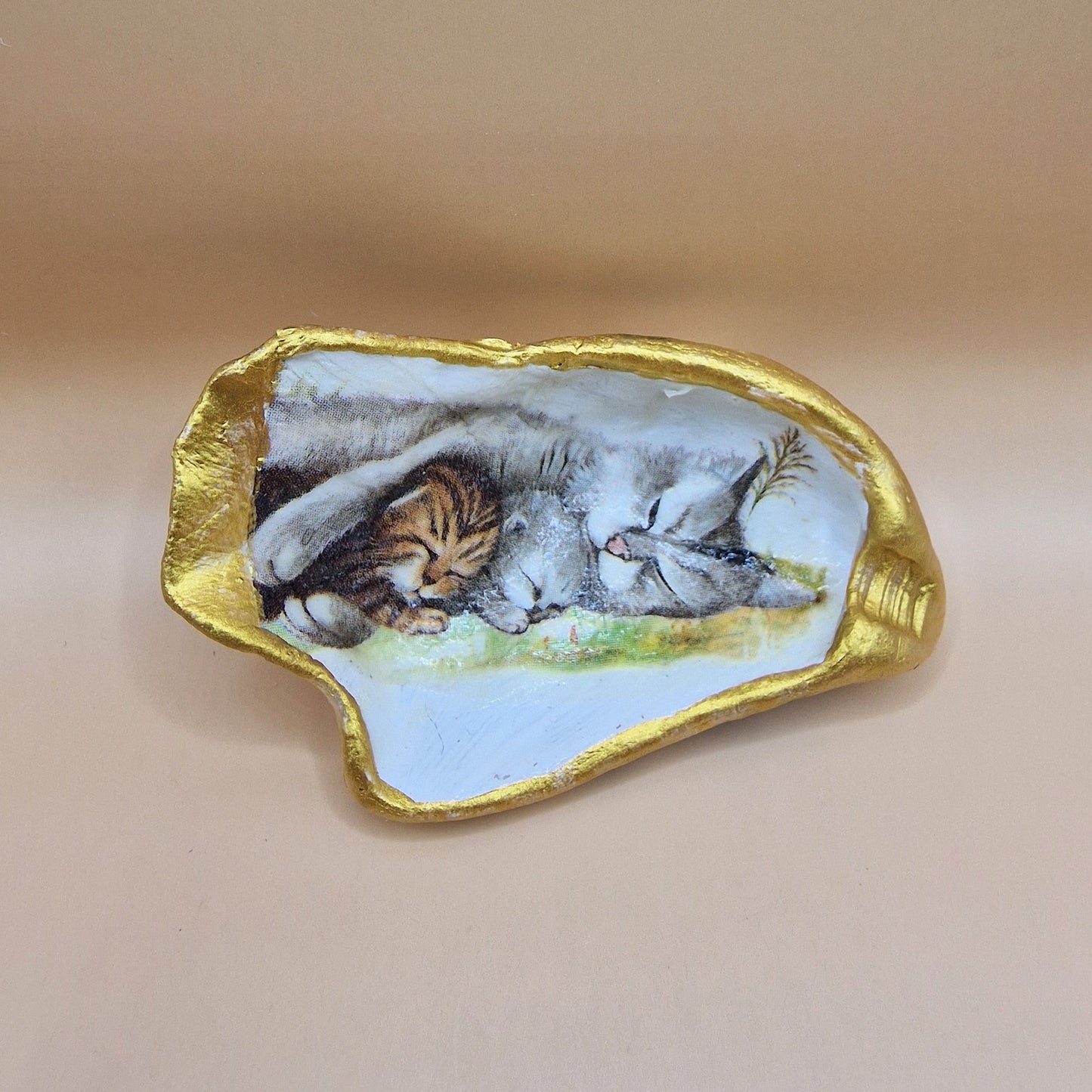 Sleeping Kittens Cats Oyster Shell Trinket Dish