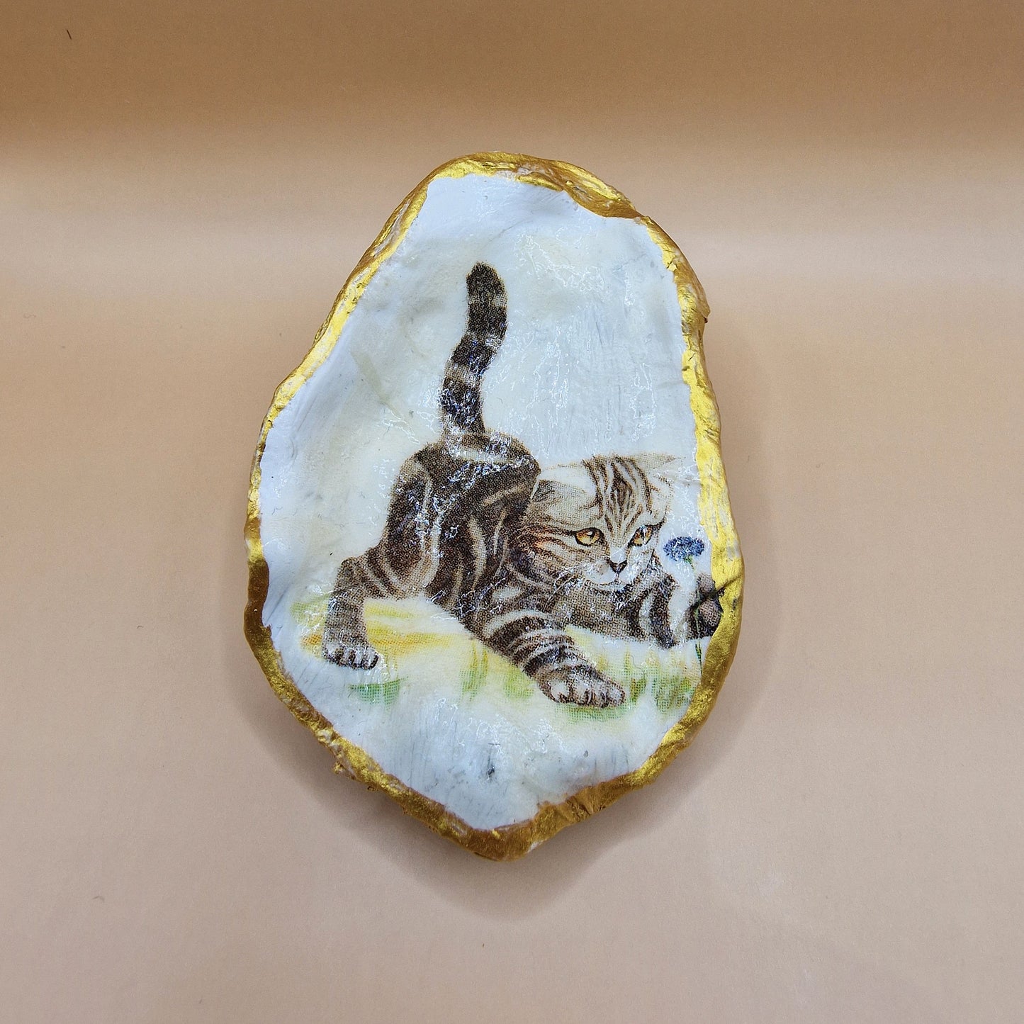 Tabby Cat Kitten Oyster Shell Trinket Dish