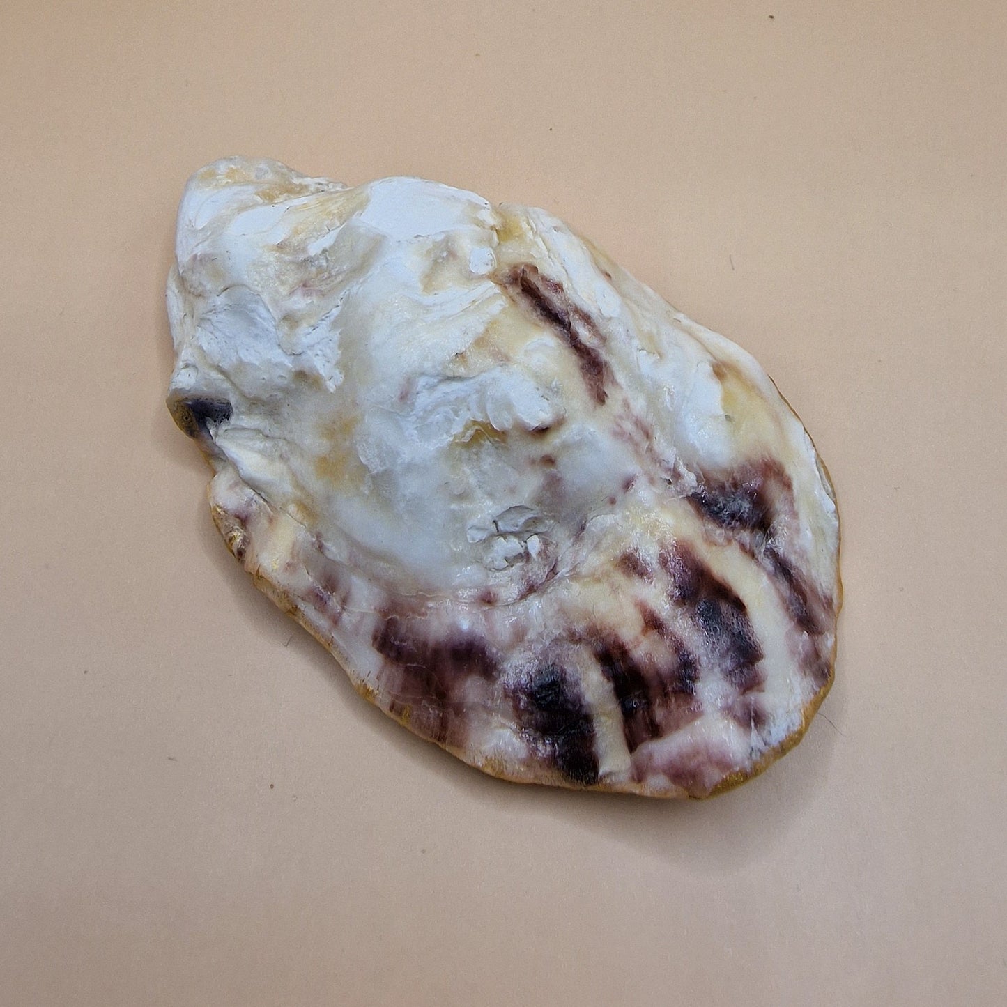 Hedgehog Apple Oyster Shell Trinket Dish