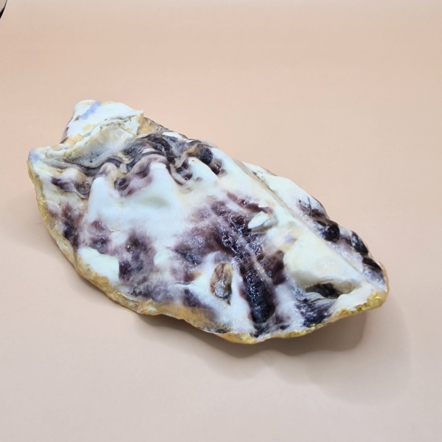 Trout Fish Oyster Shell Trinket Dish