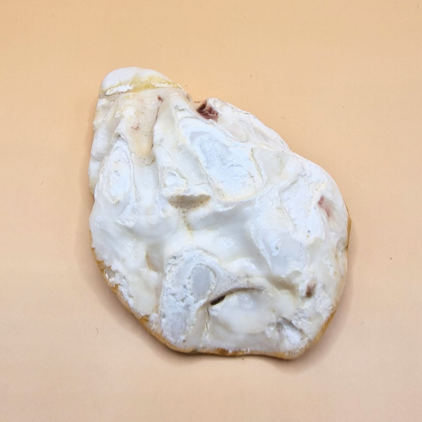 Robin Redbreast Pair Medium Oyster Shell Trinket Dish