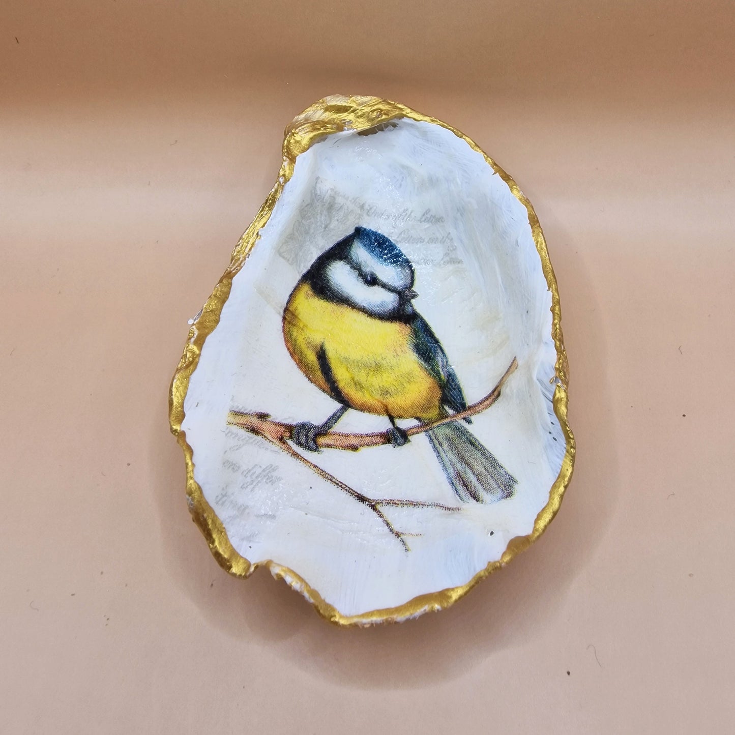 Blue Tit Medium Oyster Shell Trinket Dish