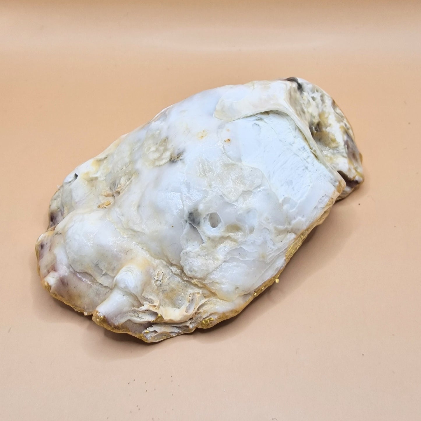 Blue Tit Medium Oyster Shell Trinket Dish