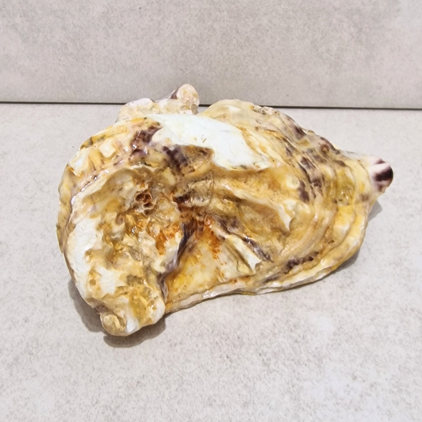 Sunflowers Large Oyster Shell Trinket Dish