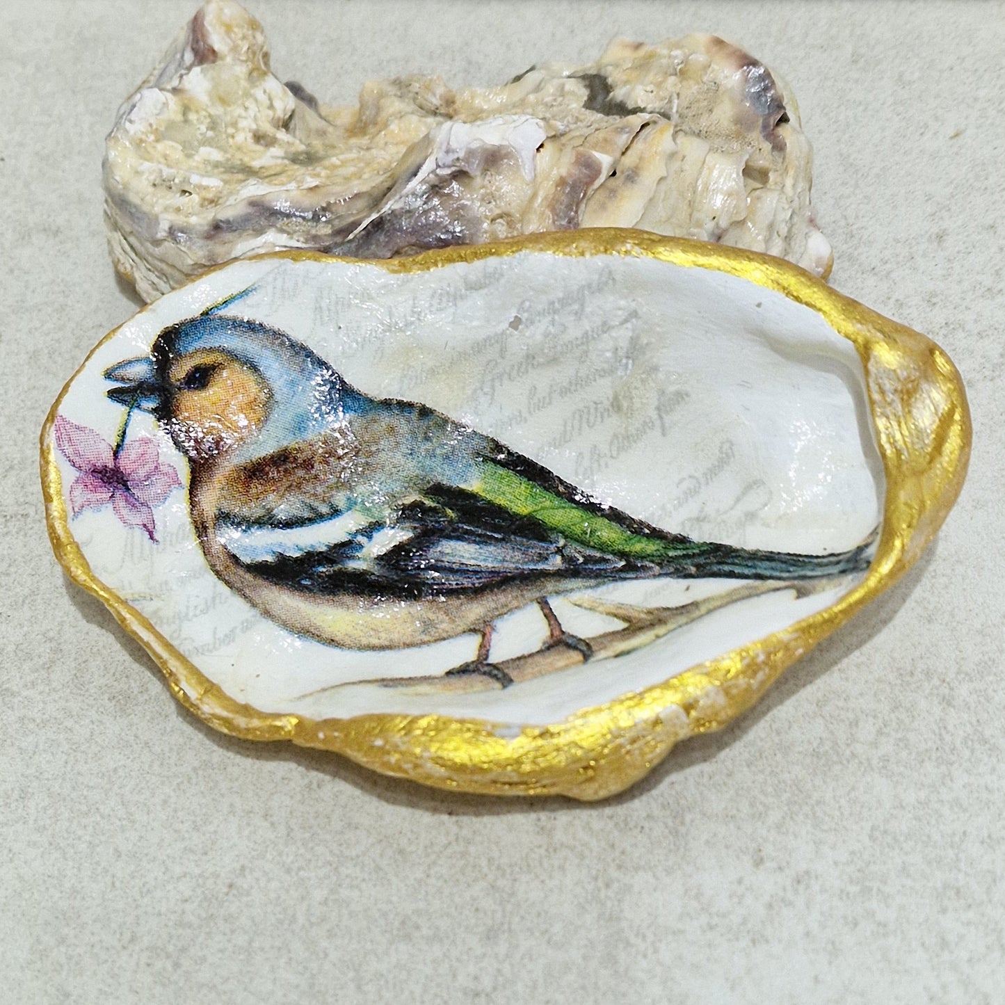 Chaffinch Bird Flower Oyster Shell Trinket Dish