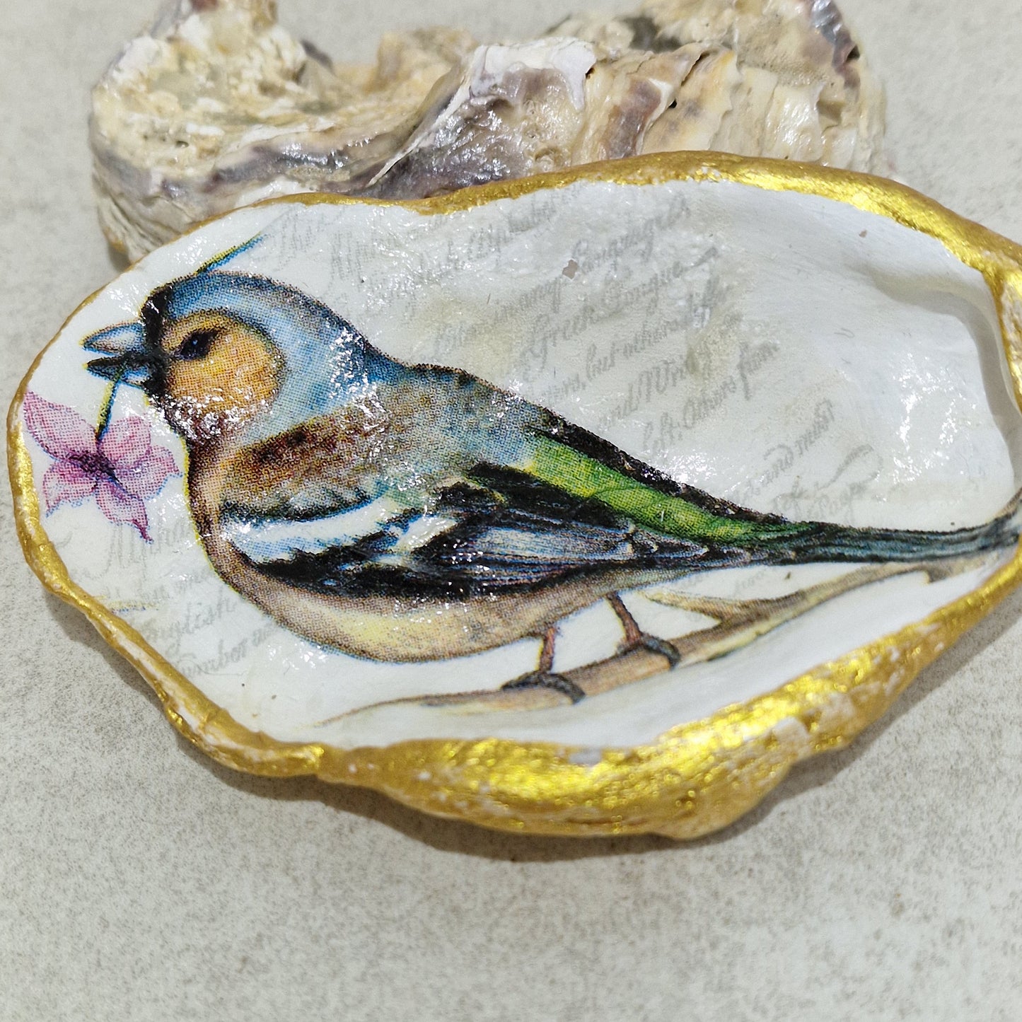 Chaffinch Bird Flower Oyster Shell Trinket Dish