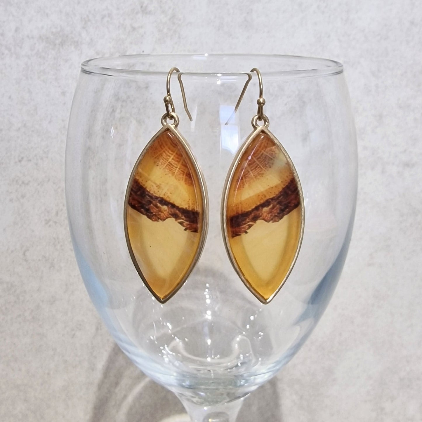 Amber Long Acrylic Pierced Drop Fashion Earrings