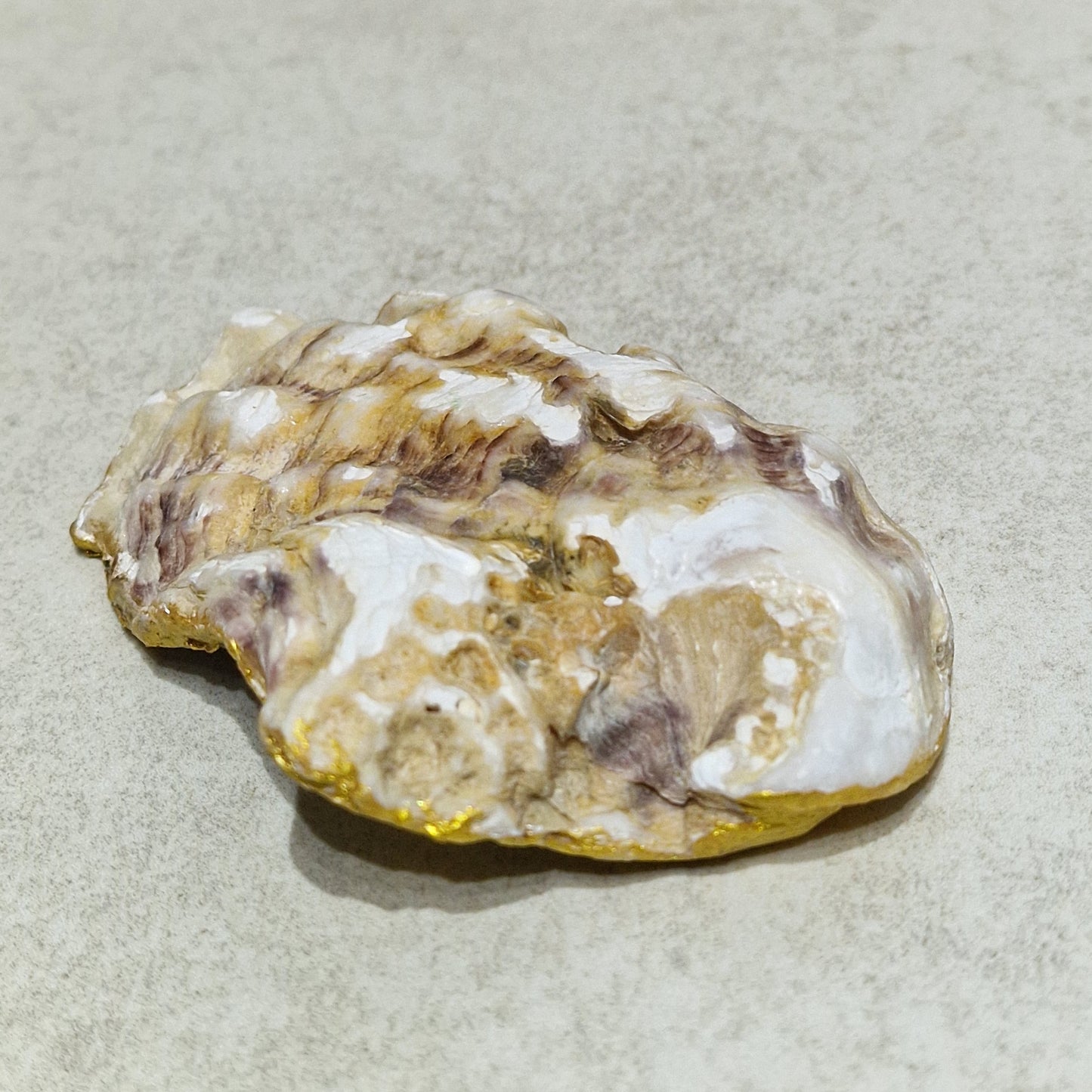 Winter Blue Tit Bird in Snow Oyster Shell Trinket Dish