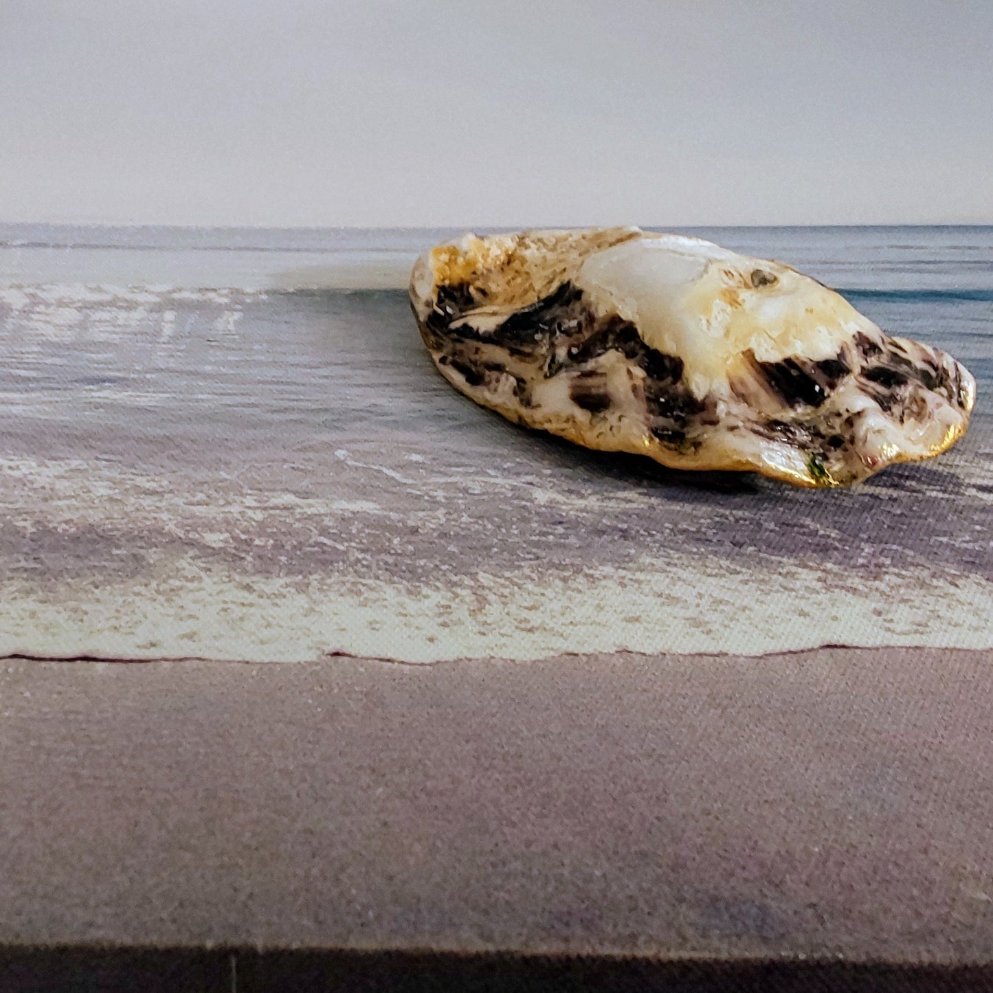 Tulips Spring Flower Special Oyster Shell Trinket Dish