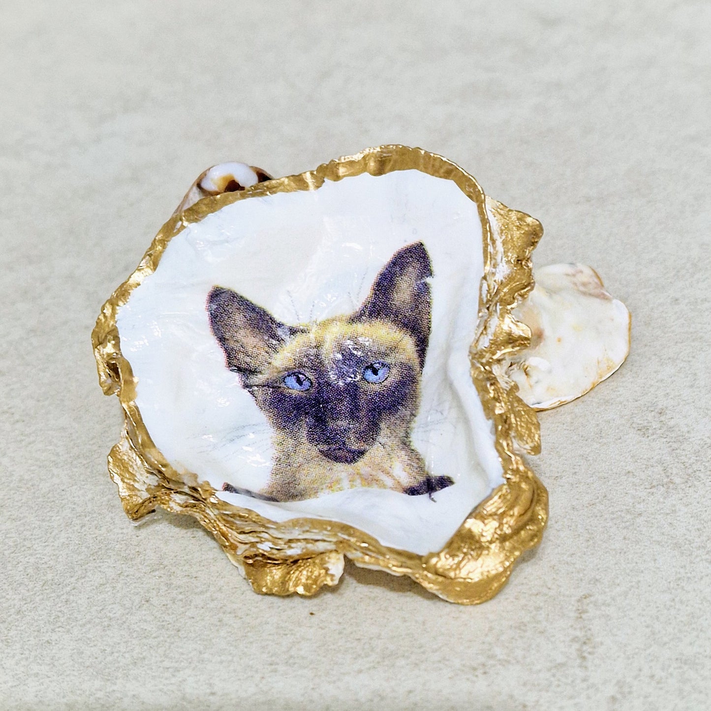 Siamese Cat Kitten Oyster Shell Trinket Dish