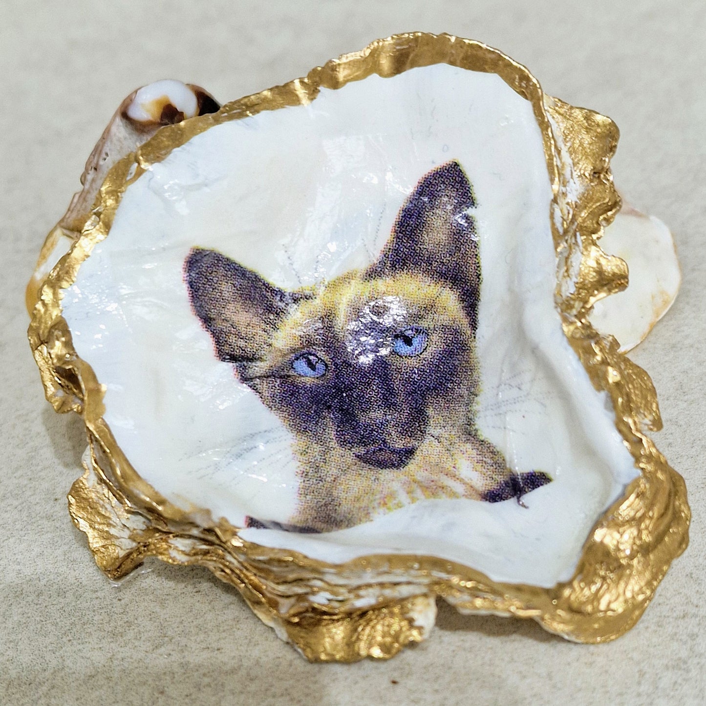 Siamese Cat Kitten Oyster Shell Trinket Dish