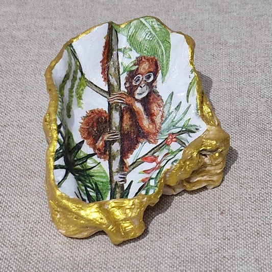 NEW Orangutan Baby Monkey Oyster Shell Trinket Dish Jewellery Holder GIft