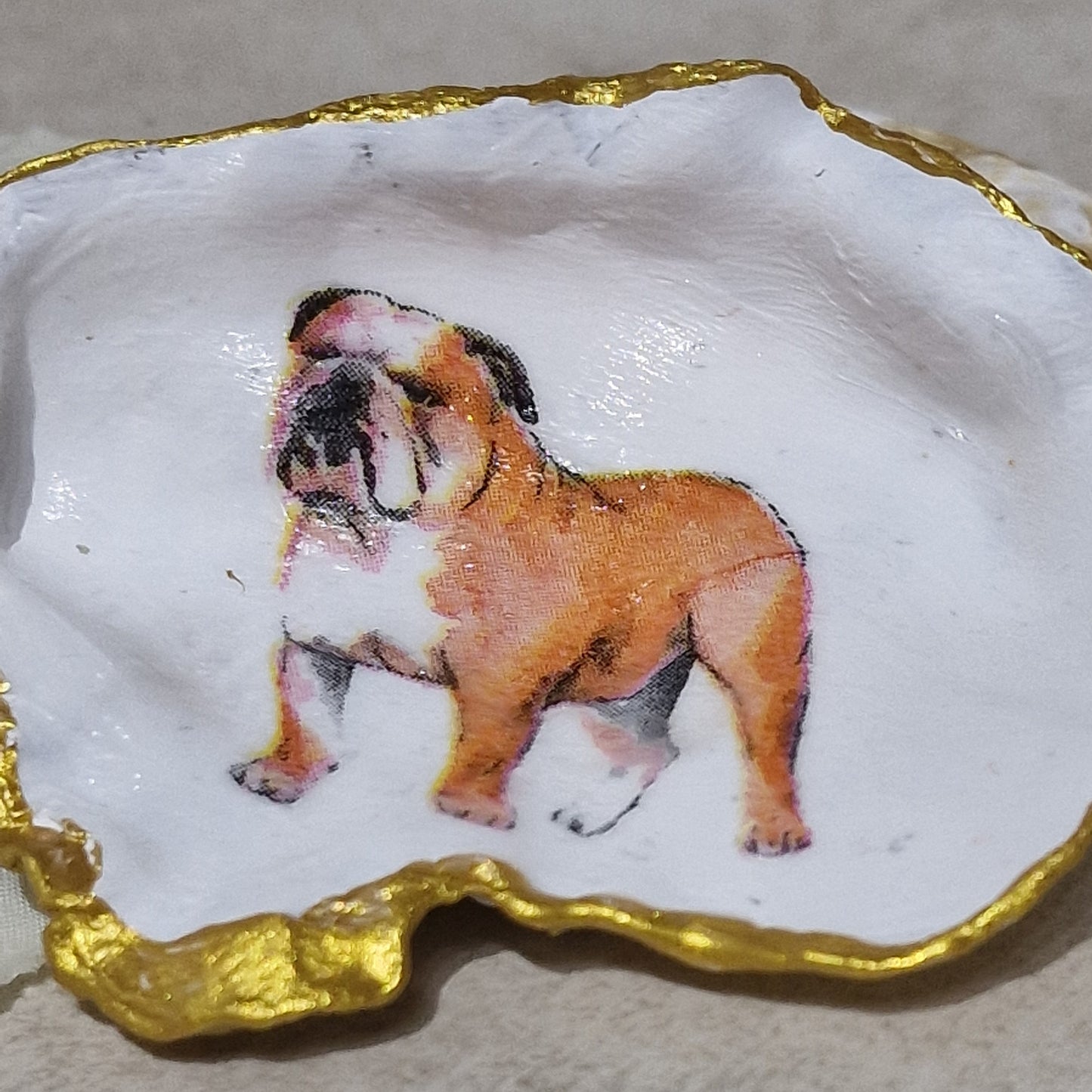 NEW British Bulldog Dog Oyster Shell Trinket Dish