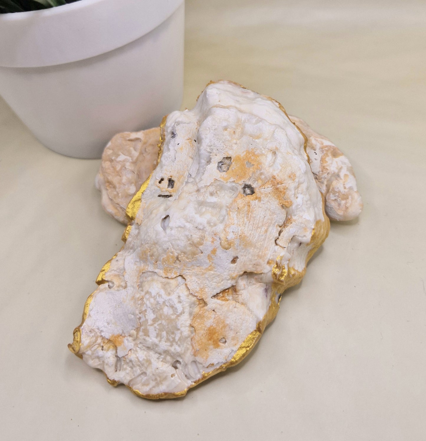 BMO-019  Wild Flower Meadow Large Oyster Shell Trinket Dish