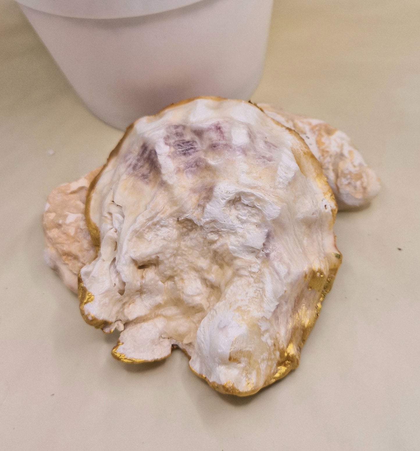 BMO-022  Chatsworth Pink Flower Oyster Shell Trinket Dish