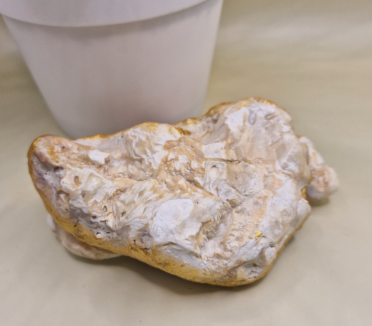 BMO-027  William Morris Cream Oyster Shell Trinket Dish