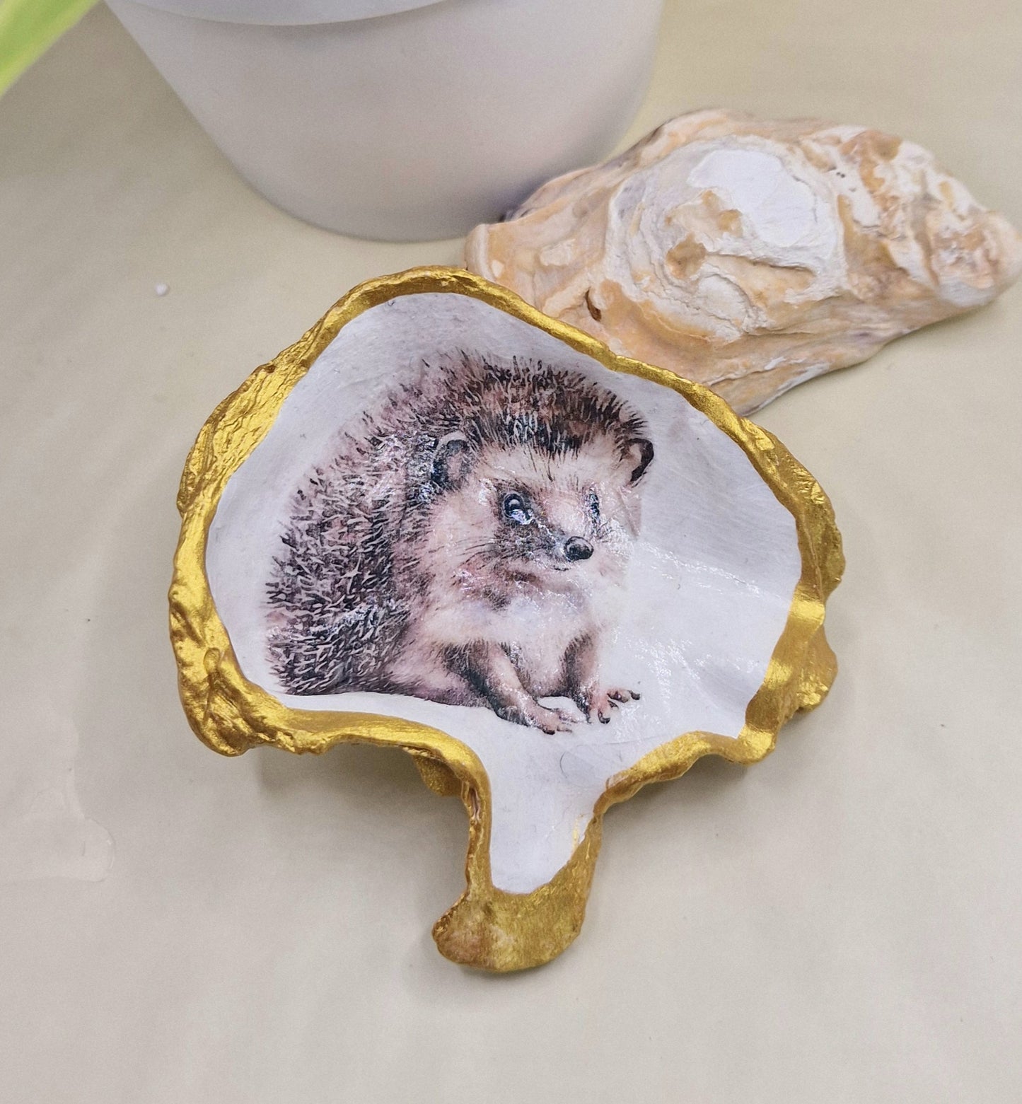 BMO-039  Hedgehog Oyster Shell Trinket Dish