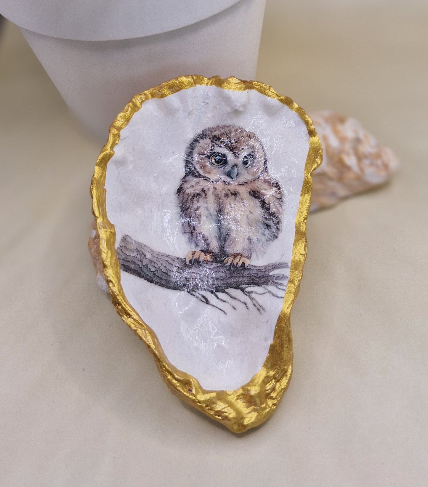 BMO-047  Baby Owl Oyster Shell Trinket Dish