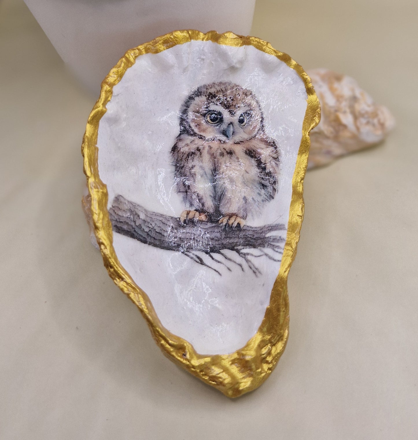 BMO-047  Baby Owl Oyster Shell Trinket Dish