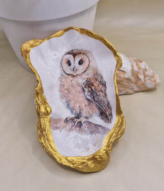 BMO-046  Tawny Owl Oyster Shell Trinket Dish