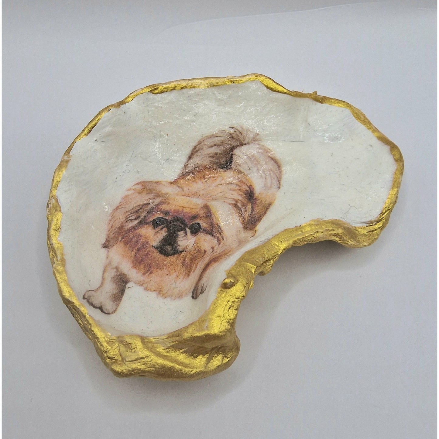 Pekingese Brown Dog Oyster Shell Trinket Dish