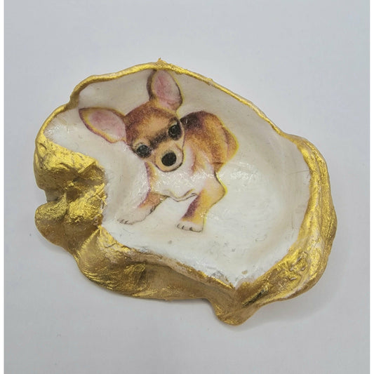 Chihuahua Brown Dog Oyster Shell Trinket Dish