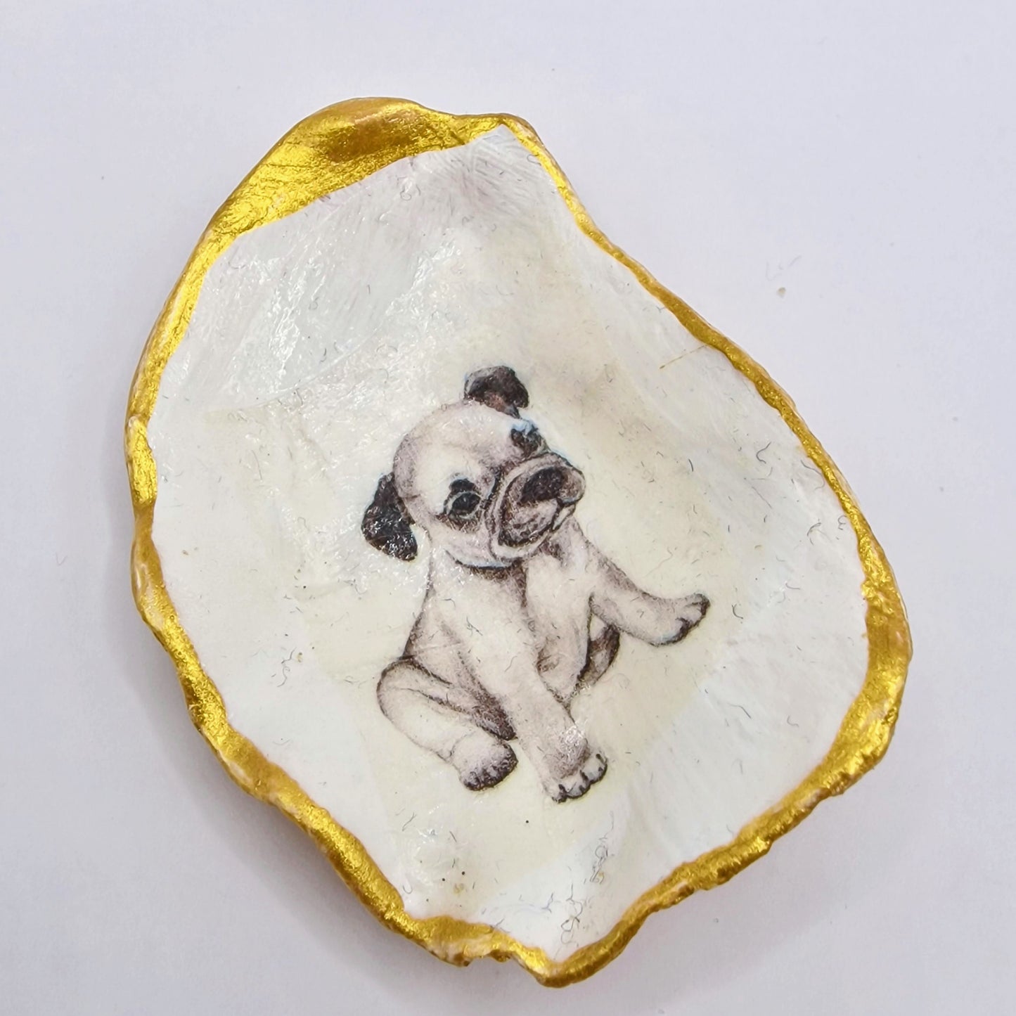 Boston Terrier Puppy Dog Small Oyster Shell Trinket Dish