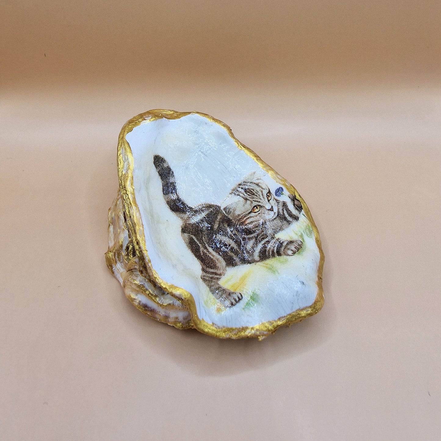 Tabby Cat Kitten Oyster Shell Trinket Dish