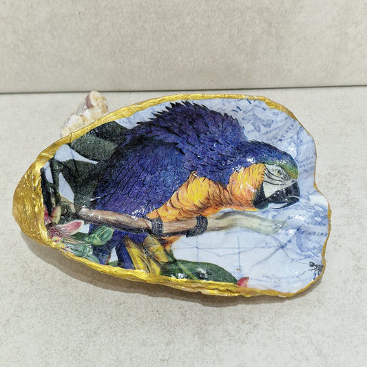 Blue Parrot Tropical Bird Oyster Shell Trinket Dish