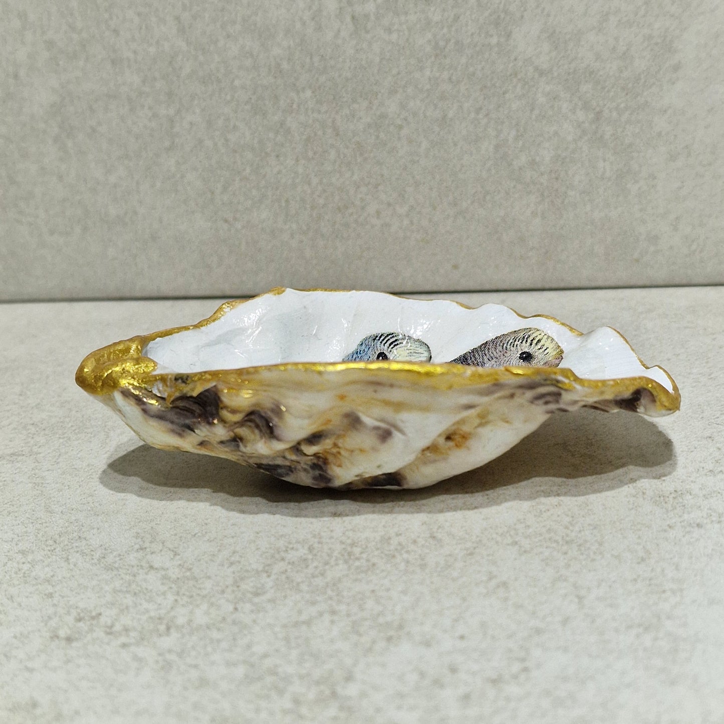 Budgie Birds Blue Aqua Budgerigar Oyster Shell Trinket Dish